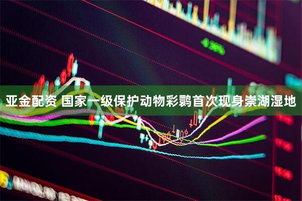 亚金配资 国家一级保护动物彩鹮首次现身崇湖湿地