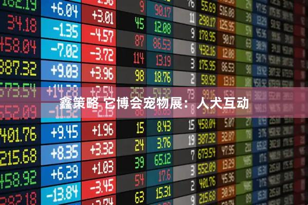 鑫策略 它博会宠物展：人犬互动