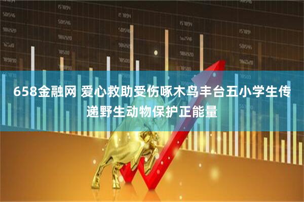 658金融网 爱心救助受伤啄木鸟丰台五小学生传递野生动物保护正能量