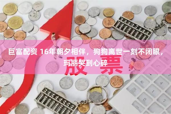 巨富配资 16年朝夕相伴，狗狗离世一刻不闭眼，玛丽哭到心碎