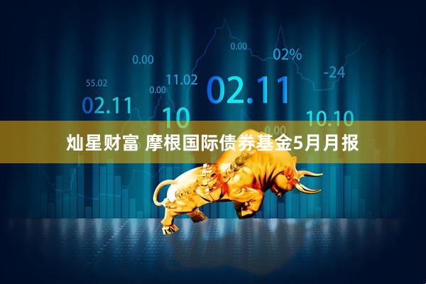 灿星财富 摩根国际债券基金5月月报