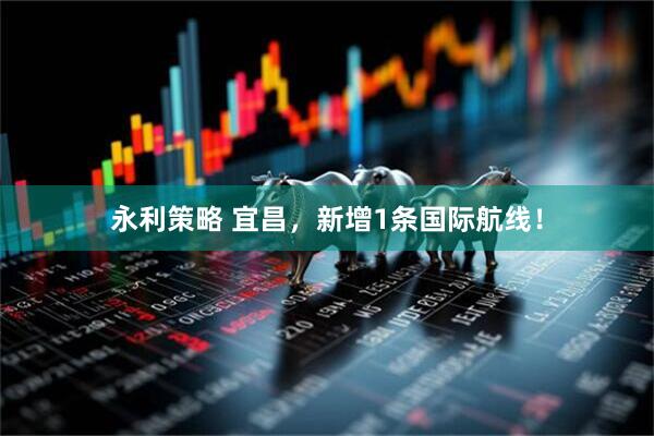 永利策略 宜昌，新增1条国际航线！