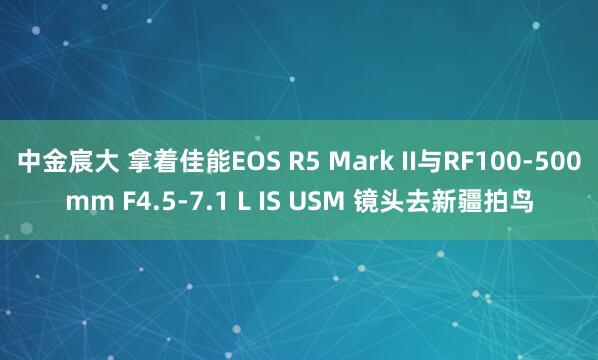 中金宸大 拿着佳能EOS R5 Mark II与RF100-500mm F4.5-7.1 L IS USM 镜头去新疆拍鸟