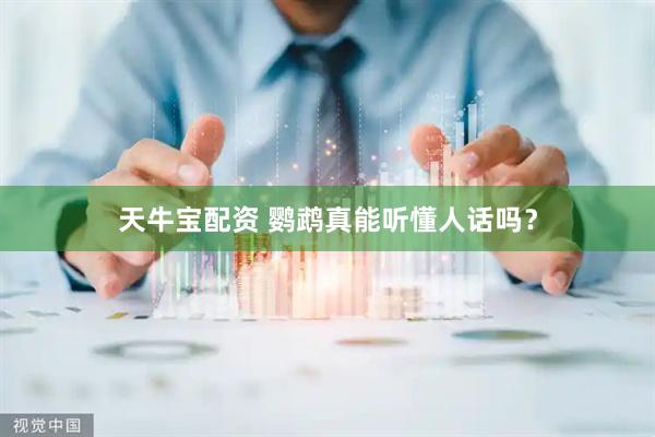 天牛宝配资 鹦鹉真能听懂人话吗？
