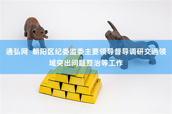 通弘网  朝阳区纪委监委主要领导督导调研交通领域突出问题整治等工作