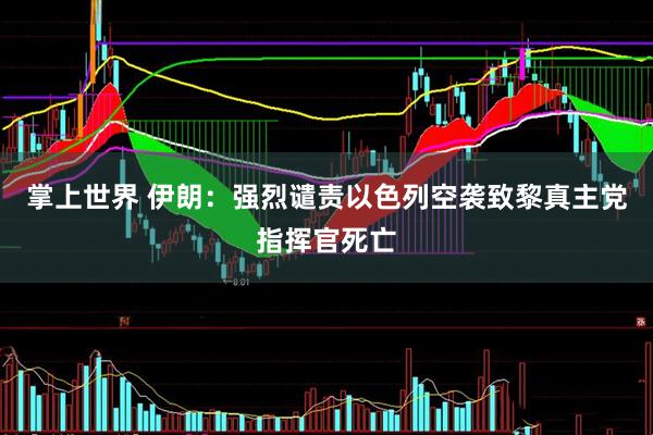 掌上世界 伊朗：强烈谴责以色列空袭致黎真主党指挥官死亡