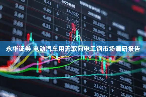 永华证券 电动汽车用无取向电工钢市场调研报告