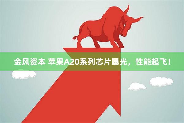 金风资本 苹果A20系列芯片曝光，性能起飞！