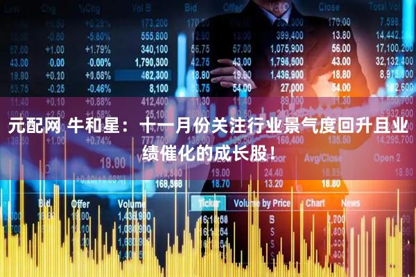 元配网 牛和星：十一月份关注行业景气度回升且业绩催化的成长股！