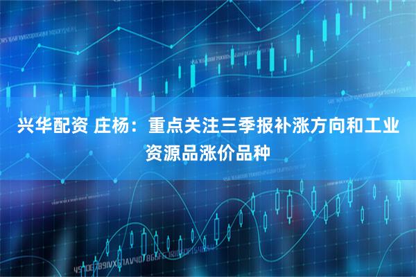 兴华配资 庄杨：重点关注三季报补涨方向和工业资源品涨价品种