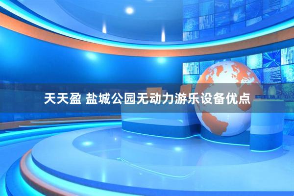 天天盈 盐城公园无动力游乐设备优点