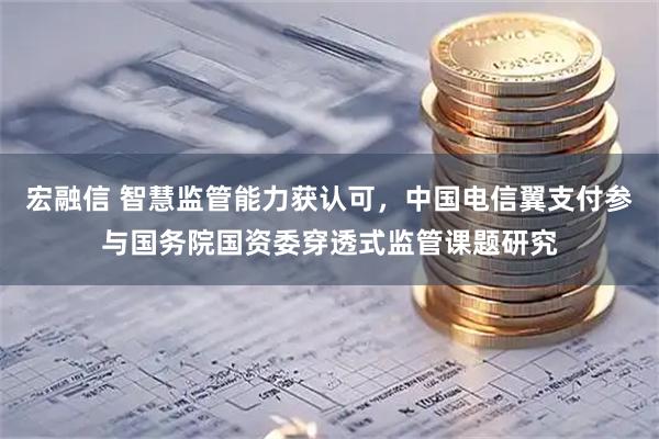 宏融信 智慧监管能力获认可，中国电信翼支付参与国务院国资委穿透式监管课题研究