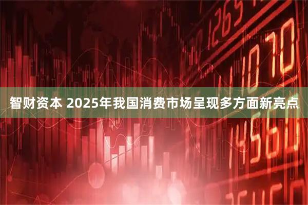 智财资本 2025年我国消费市场呈现多方面新亮点