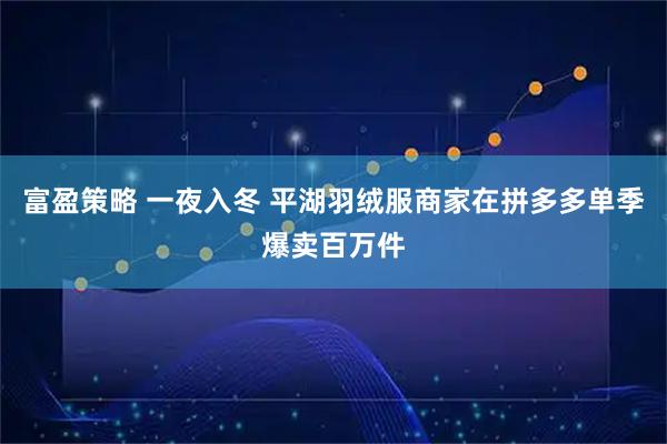 富盈策略 一夜入冬 平湖羽绒服商家在拼多多单季爆卖百万件