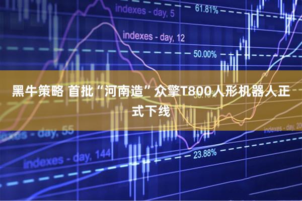 黑牛策略 首批“河南造”众擎T800人形机器人正式下线